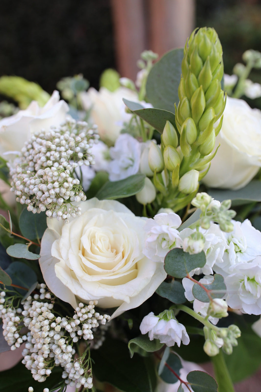 Velvet Designer's Choice Arrangement