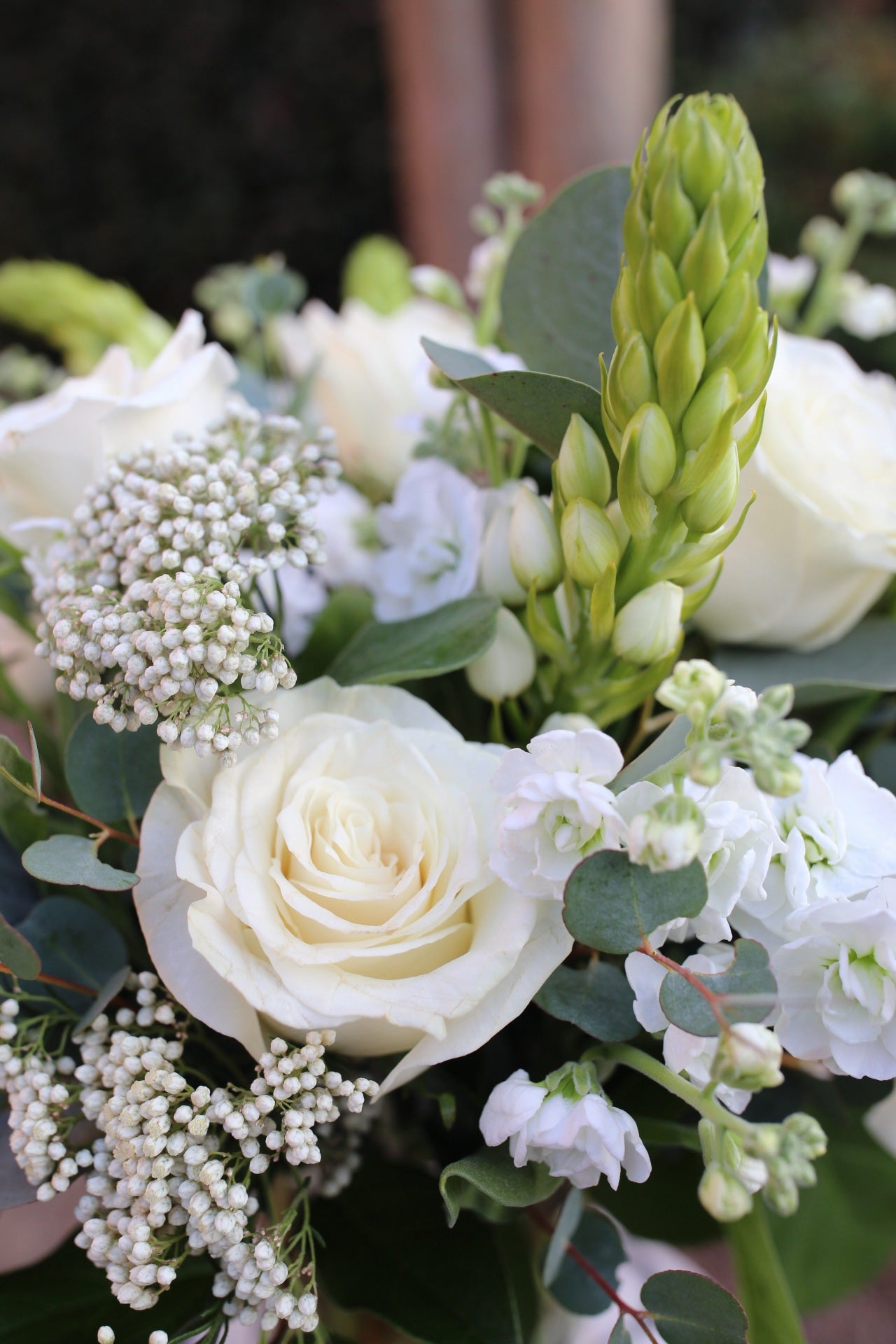 Velvet Designer's Choice Arrangement