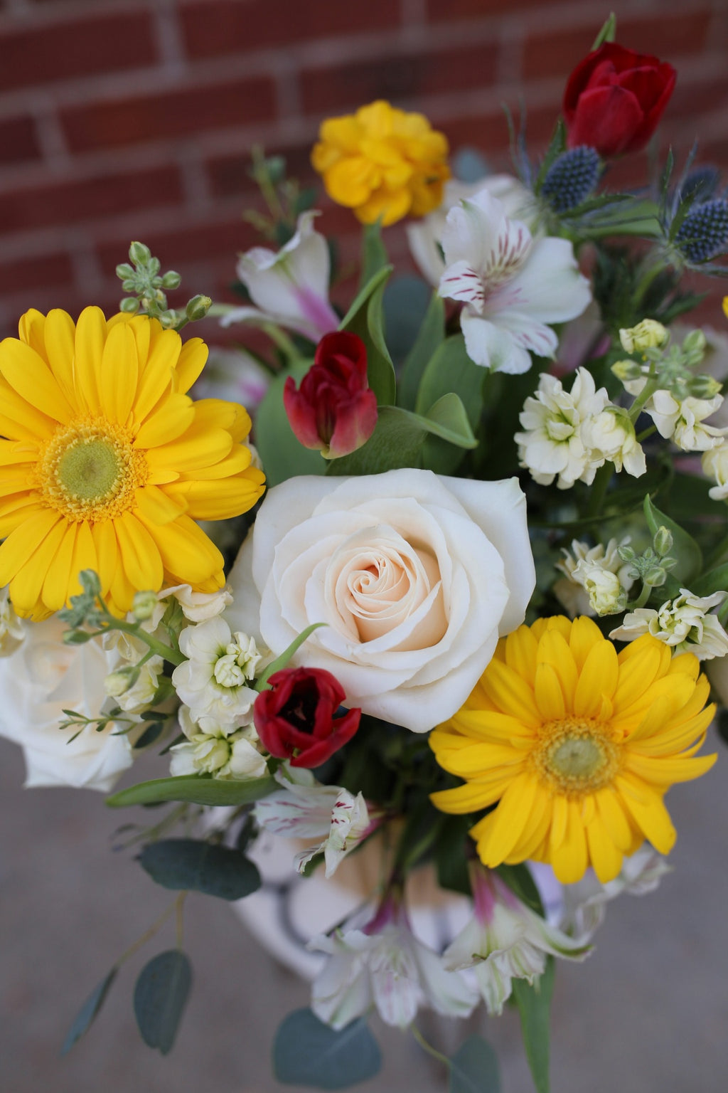 Velvet Designer's Choice Arrangement